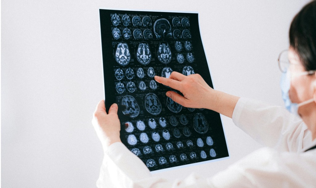 Scientific data visualization